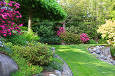 Morrisville Property Managers Morrisville Property Managers